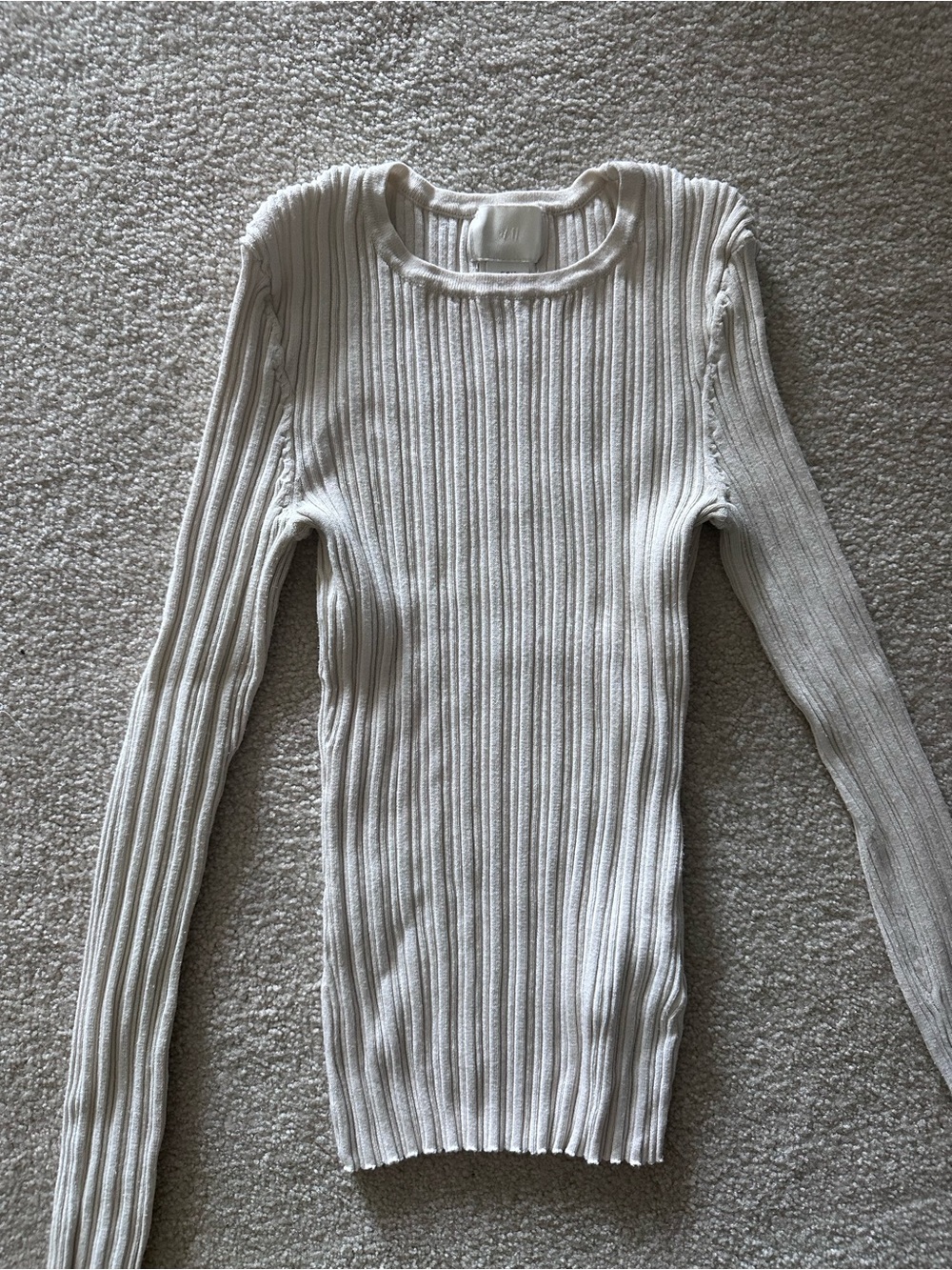 Fitted Ribbed Crewneck Long Sleeves